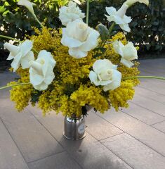 Ayışığı Bahçesi