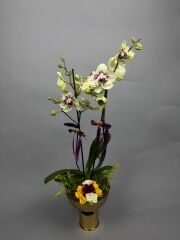 Ice Beyaz Ortanca Krizantem Bakır Vazo