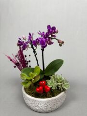 Novella Lila Mor Çiçek