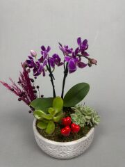 Novella Lila Mor Çiçek