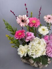 Celastial Panoramik Deniz Kabuğu Tasarım Vazo