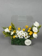 Almira Papatya Şeffaf Kutu