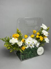 Almira Papatya Şeffaf Kutu