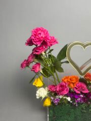 Clara Mini Pembe Şefaf Kutu