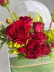 Amore Kırmızı Güller Şefaf Kutu