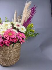 Sunspell Marta Pembe Beyaz Arajman