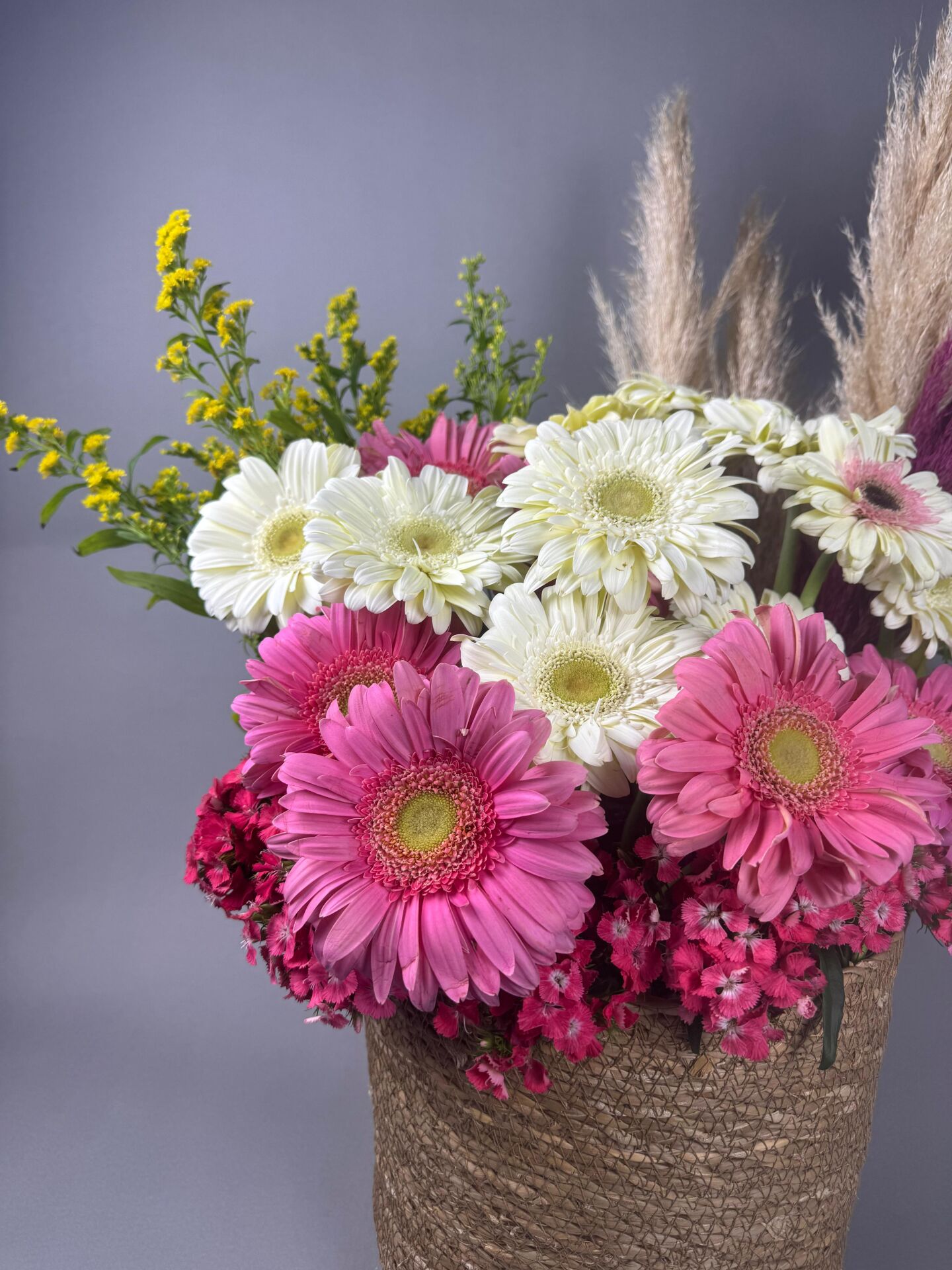 Sunspell Marta Pembe Beyaz Arajman