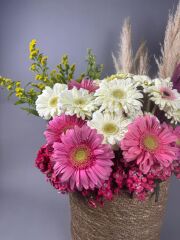 Sunspell Marta Pembe Beyaz Arajman