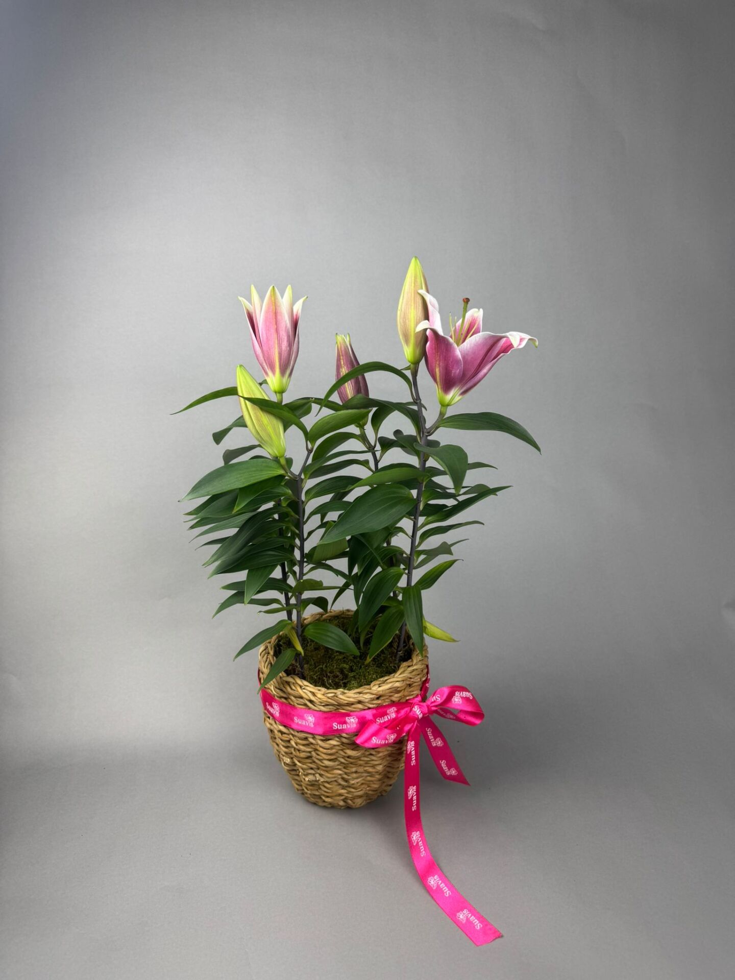 Lilyum Masalı Hasır Vazo