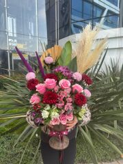 Luniva Poetic Pura Arajman