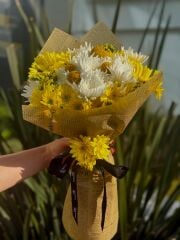 Fairy Wing Gold Bahar Esintisi