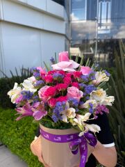 Daniela Pastel Kutu Çiçek