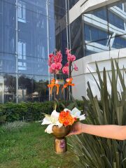 Antoryum Sophia Loren Bakır Vazo